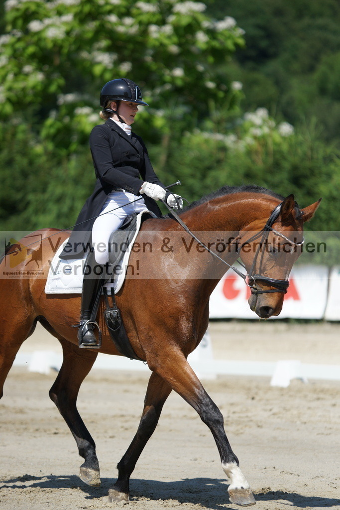 DSC03141 | equestrian-live-com