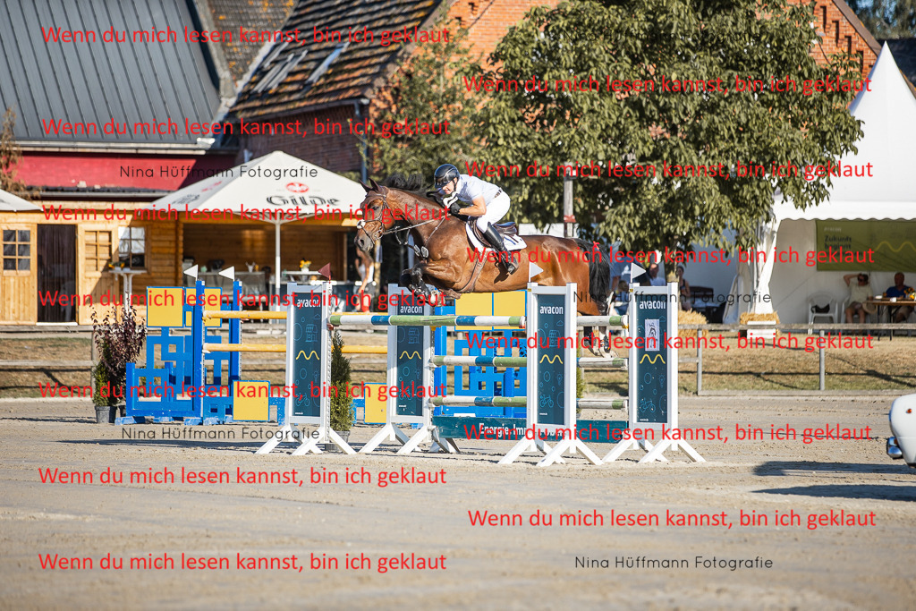 BK1A8753 | Turnierbilder Turnierfotos Nina Hüffmann Turnierfotografie Pferdefotografie Tierzeichnung Haustierzeichnung Pferdezeichnung Hundezeichnung Videograf  - Realisiert mit Pictrs.com