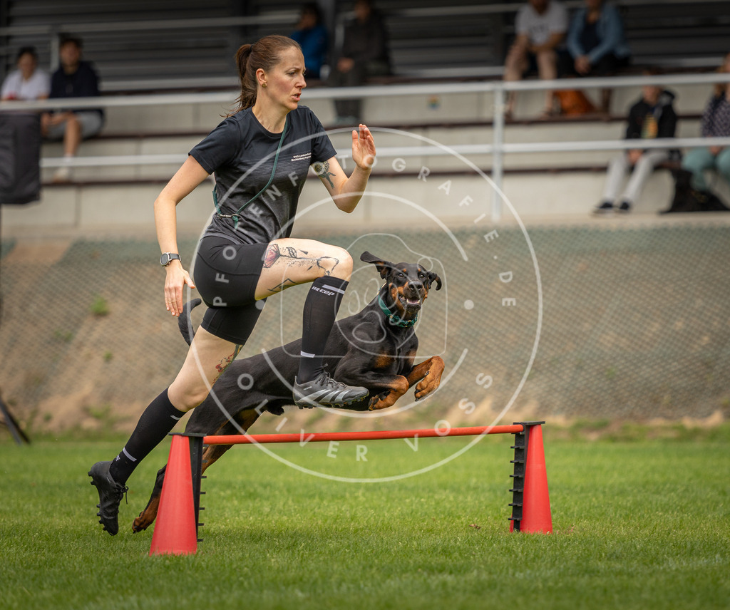 Pfotenfotografie_DV3A9605 | Hundefotografie, Tierfotograf, Pfotenfotografie, Fotoshooting Hund, Hunde Portrait, Hundesport, Hundeportraits, Heideshooting, Hunde, Sportfotograf, Hundefotograf, Turnierhundsport, THS,  - Realisiert mit Pictrs.com