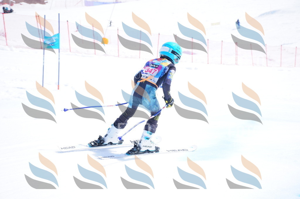 DSC_7100 | holidayphoto