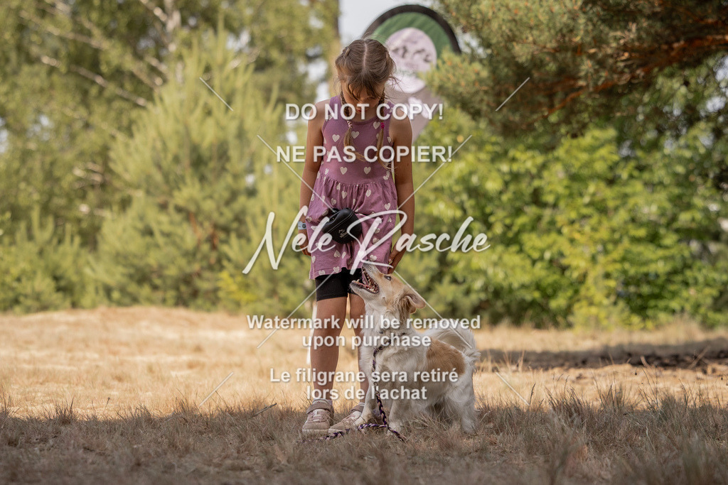 nelerasche_soDD2_294 | nelerasche