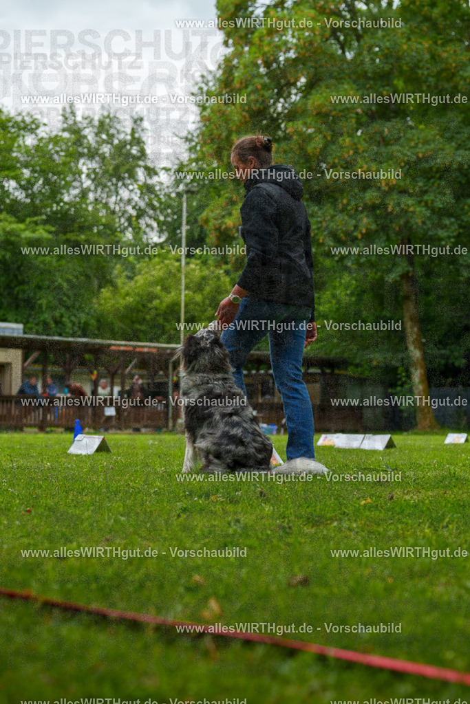 @allesWIRTHgut_Tierfotografie - www.allesWIRTHgut.de - 7R500297 | Professionelle Tierfotografie in Mönchengladbach von Daniel Wirth (allesWIRTHgut). Liebevolle & natürliche Bilder von Hunden & Katzen für unvergessliche Erinnerungen.