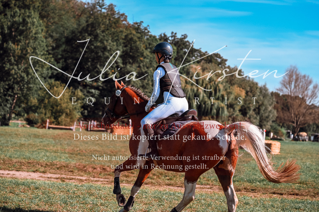 DSC_1024 | Pferde- und Turnierfotografie in Westsachsen. Pferdeportraits, Auftragszeichnungen und intuitive Kunst.