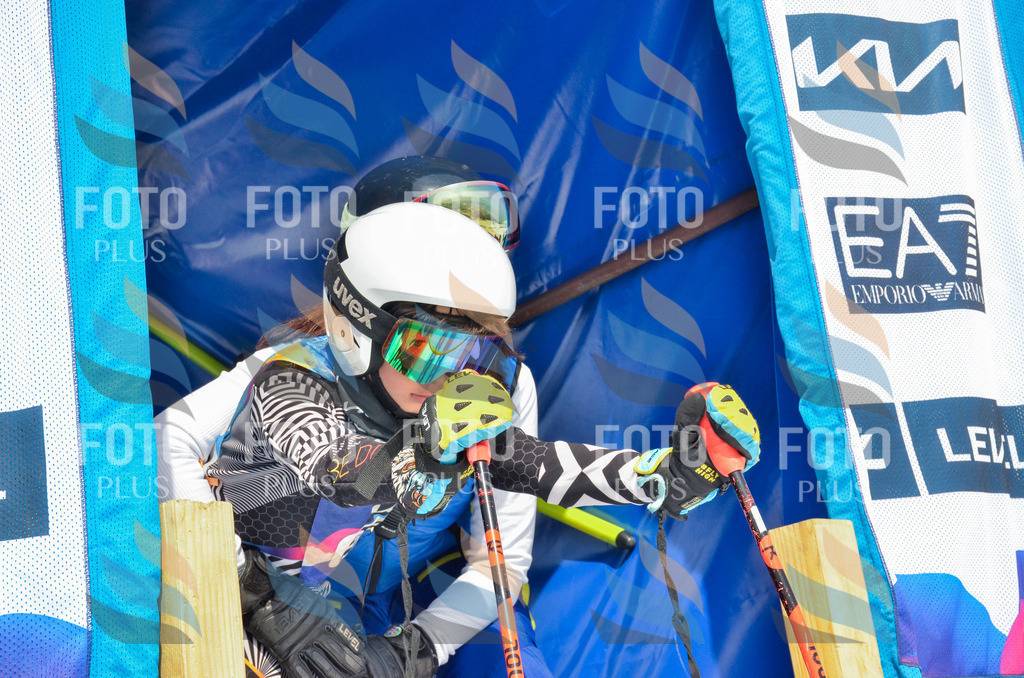 _ELE7501 | holidayphoto