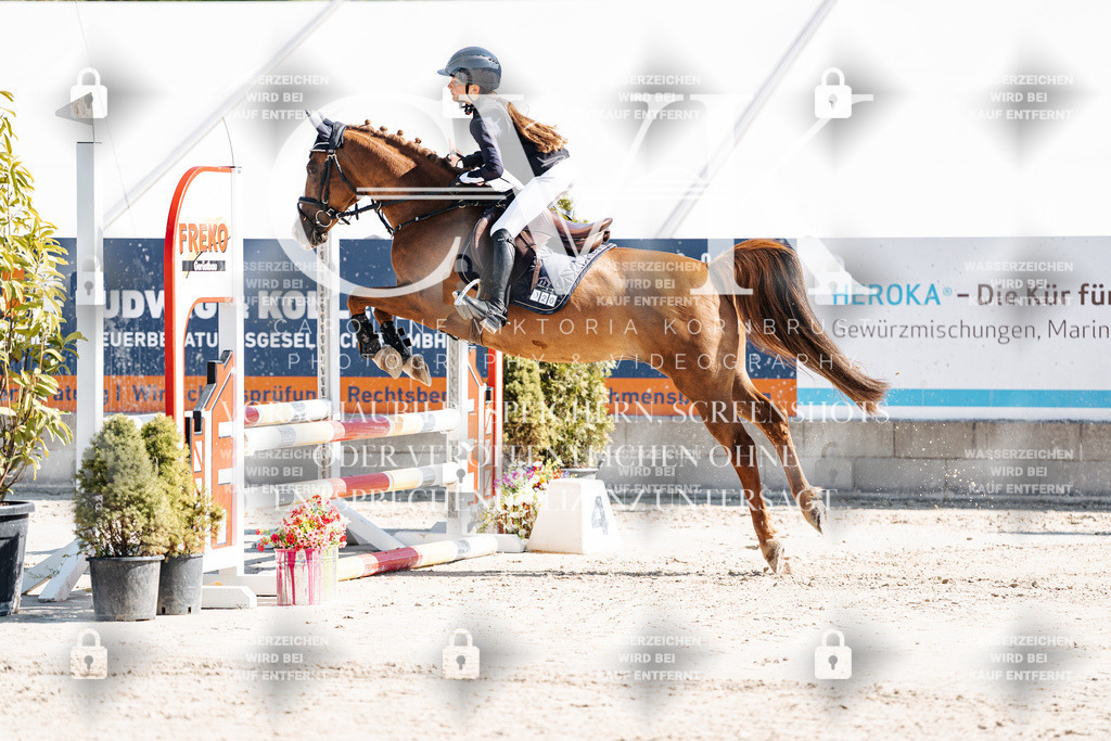 CK905177 | Turnierfotografie Pferdefotografie Trier Rheinland-Pfalz Pferdesport Reitsport Tierfotografie Sportfotografie Pferdevideo Pferdevideografie Equestrianvideography equestrianphotography  - Realisiert mit Pictrs.com