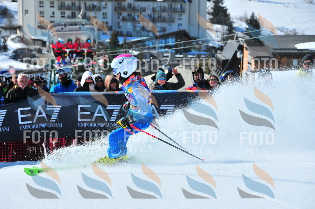 DSC_4214 | holidayphoto