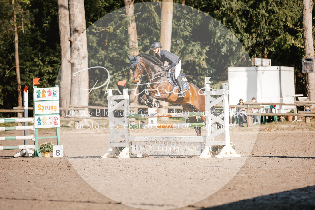 3I6A3659 | Stimmungsvolle Portraits und Reitsportfotografie im Ruhrgebiet und im Münsterland.

Pferdefotografie, Hundefotografie, Tierfotografie, Reportagen, Portraits von Tier und Mensch, Turnierfotografie in Bochum, Recklinghausen, Marl, Haltern am See, Dülmen.. - Realisiert mit Pictrs.com