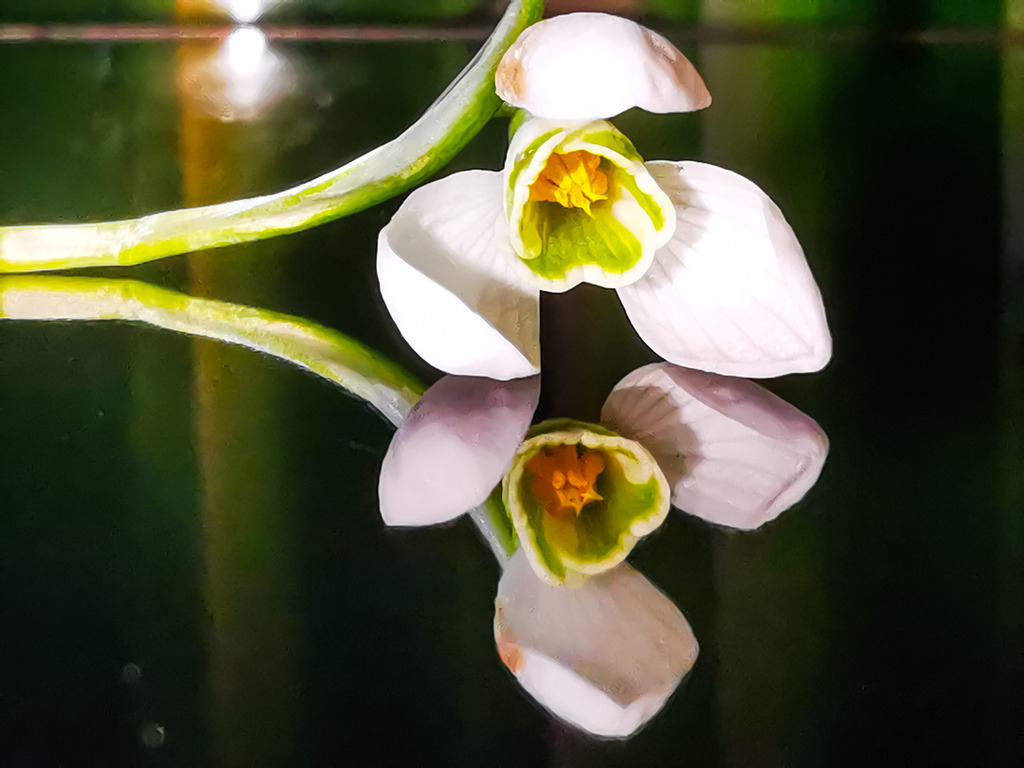 PSX_20230223_225916 | mtkfoto_ - Realisiert mit Pictrs.com