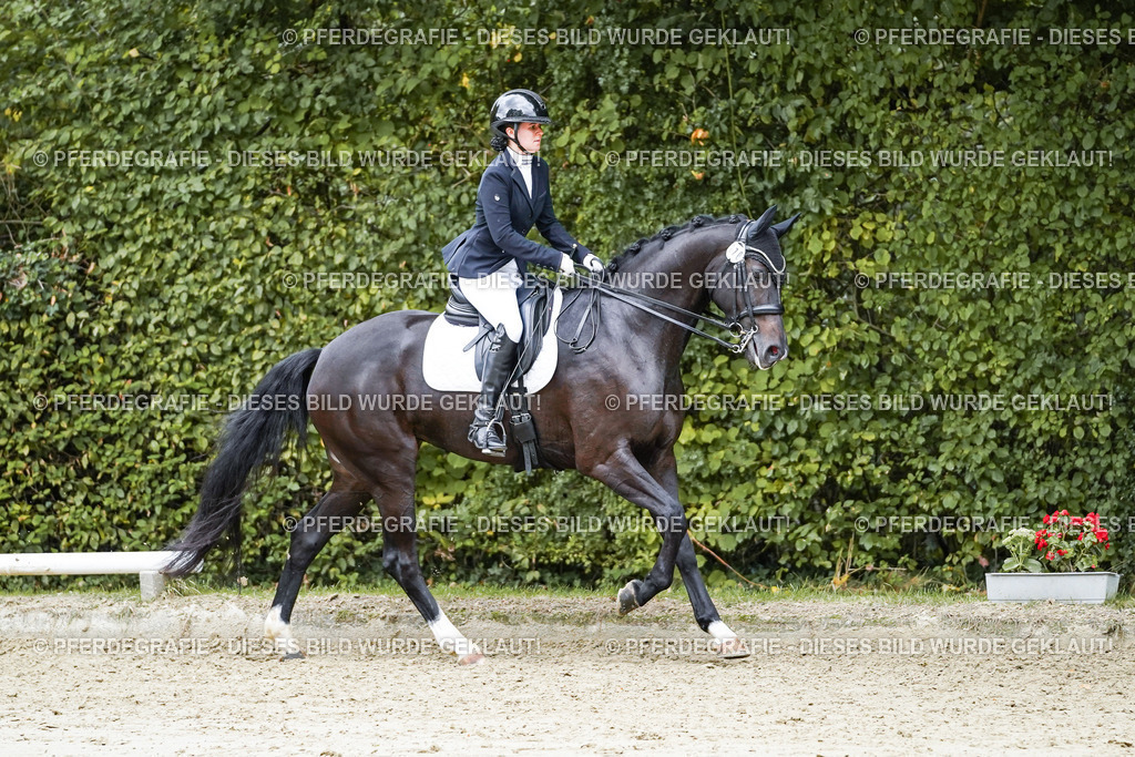 DSC07091 | Pferdegrafie