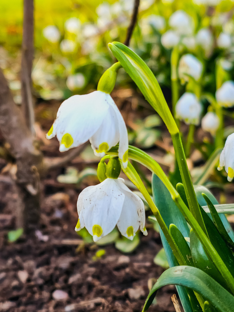 PSX_20230305_224930 | mtkfoto_ - Realisiert mit Pictrs.com