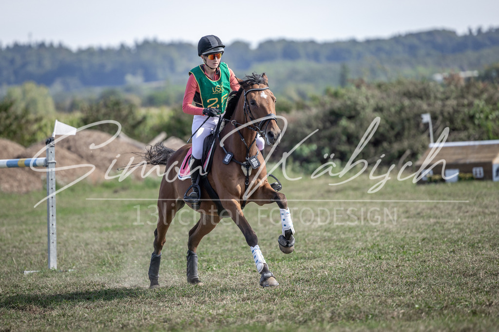 20250907-_3LI2596 | Tierfotografie Pferde, Hunde, Katzen, Haustiere.
Turnierfotografie Reitturniere, Reiten, Springreiten, Dressur in Hanau, dem Main-Kinzig-Kreis und dem Rhein-Main- Gebiet um Frankfurt
