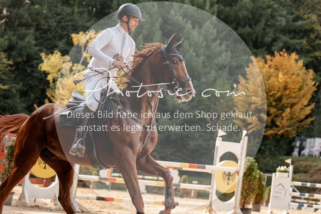 3I6A4617 | Stimmungsvolle Portraits und Reitsportfotografie im Ruhrgebiet und im Münsterland.

Pferdefotografie, Hundefotografie, Tierfotografie, Reportagen, Portraits von Tier und Mensch, Turnierfotografie in Bochum, Recklinghausen, Marl, Haltern am See, Dülmen.. - Realisiert mit Pictrs.com