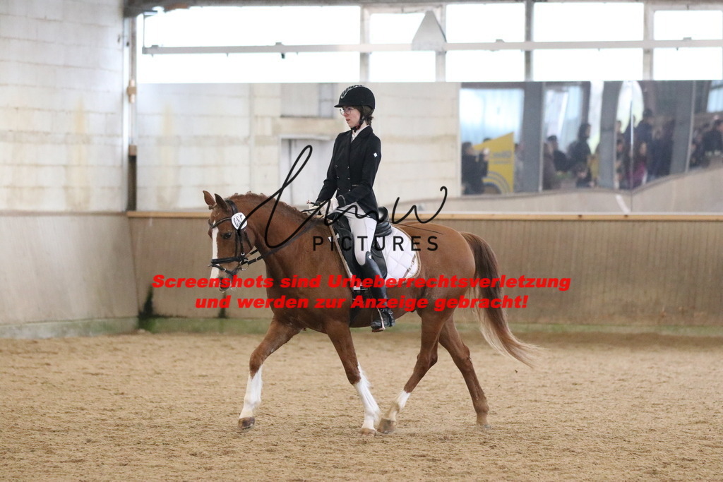 IMG_4252 | lmwpictures - Realisiert mit Pictrs.com