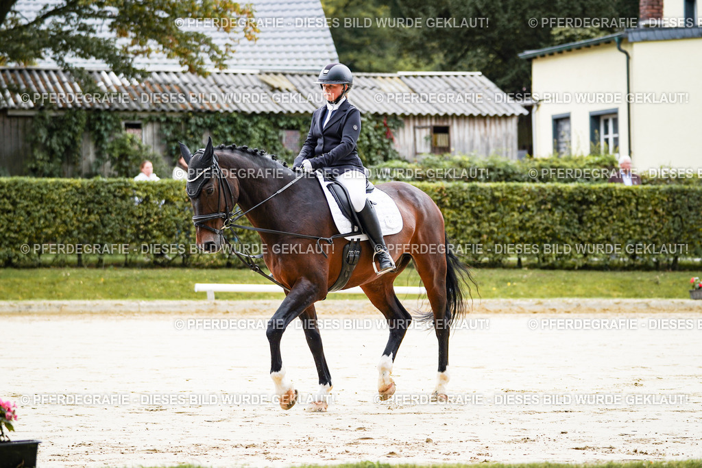 DSC04406 | Pferdegrafie