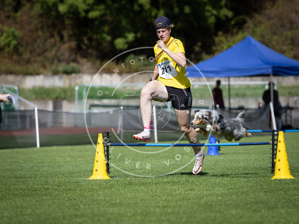 Pfotenfotografie_DV3A5179 | Hundefotografie, Tierfotograf, Pfotenfotografie, Fotoshooting Hund, Hunde Portrait, Hundesport, Hundeportraits, Heideshooting, Hunde, Sportfotograf, Hundefotograf, Turnierhundsport, THS,  - Realisiert mit Pictrs.com