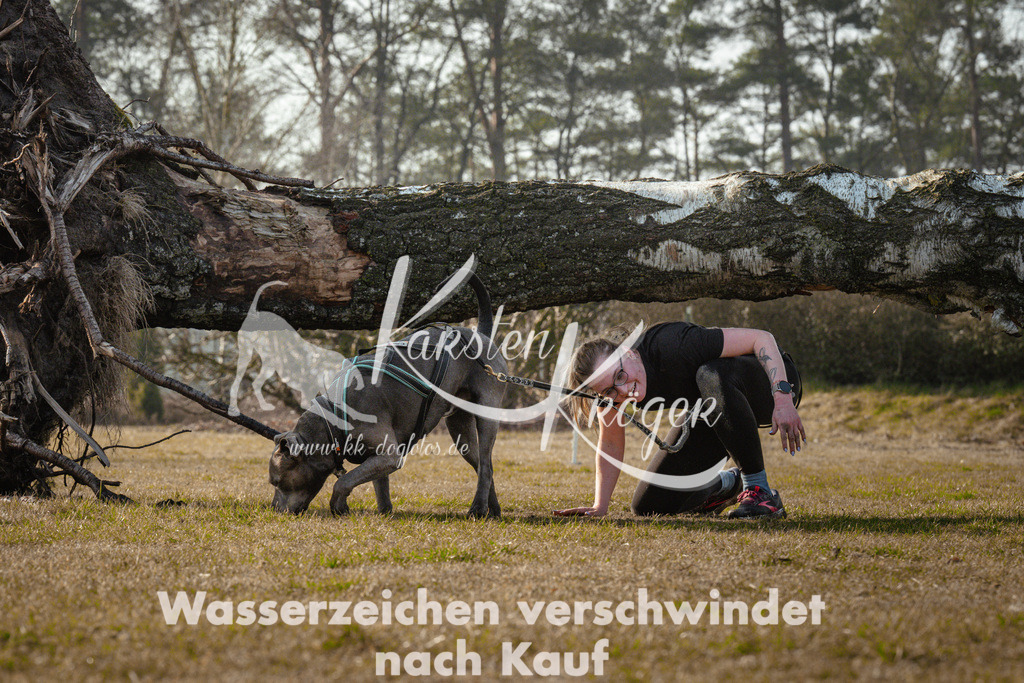 0944_ZZ99853 | kk-dogfotos