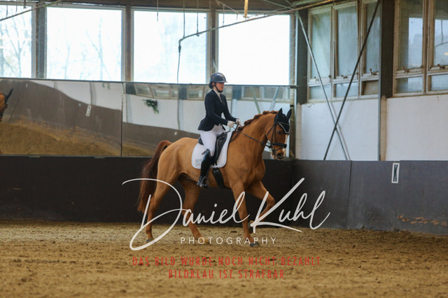 IMG_7631 | Turniersportfotografie; Pferdefotografie; Dressurfotografie