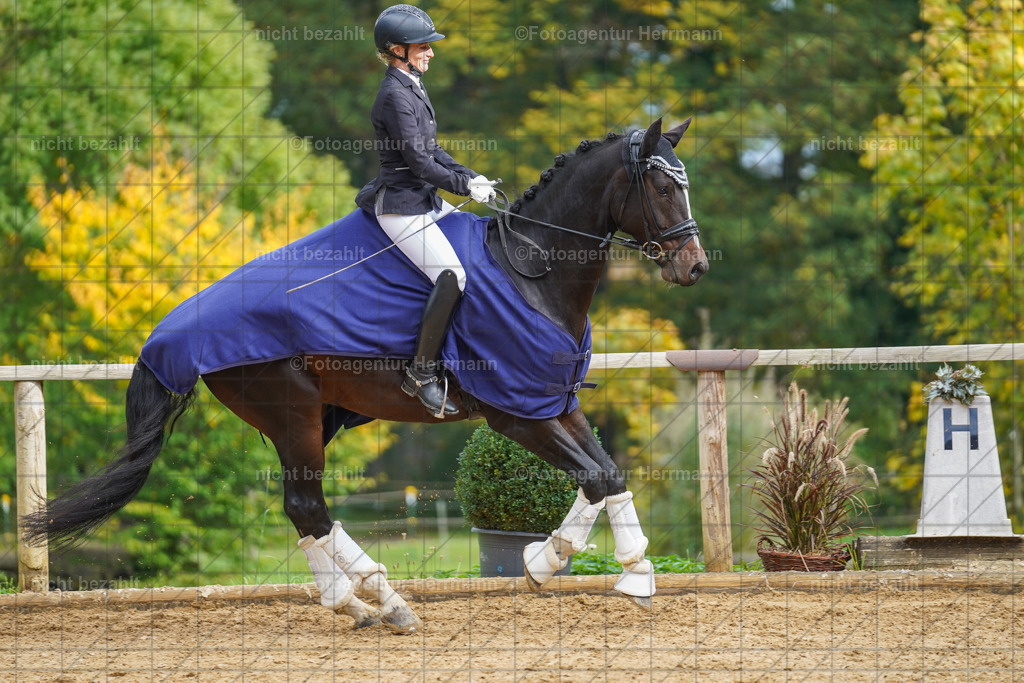 20221007-FAH09916 | Diessen am Ammersee, 2022, Dressur- und Springturnier, Reitsportbilder, Turnierfotografen Bayern, Pferdefotografen, Fotoagentur Herrmann, Turnierbilder
