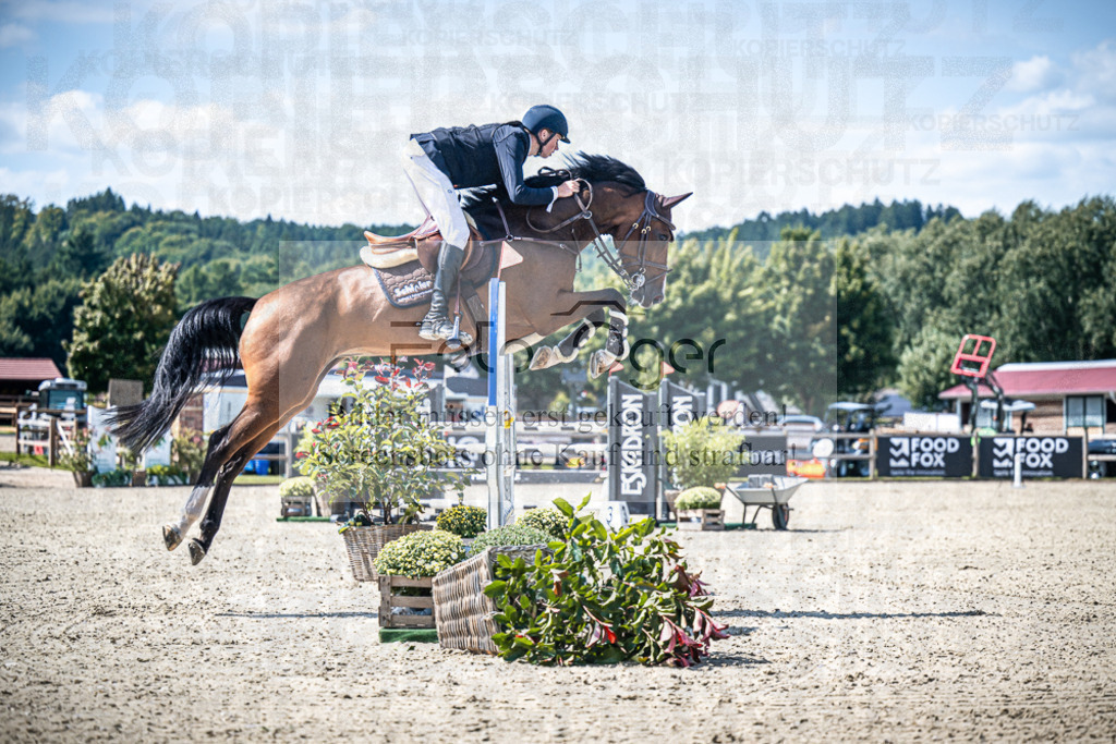 DOS_3494 | Entdecke hochwertige Reitturnierfotos von Foto Oger. Professionell, emotional und authentisch – jetzt Lieblingsmomente im Shop bestellen.Deutschlandweite Turnierfotografie. - Realisiert mit Pictrs.com
