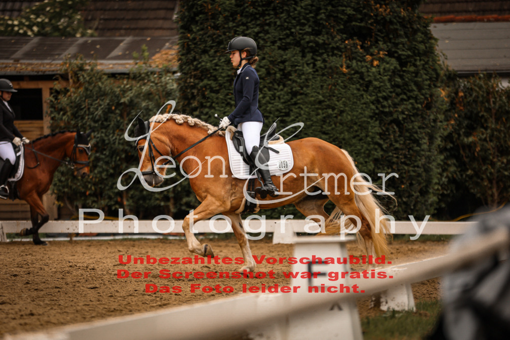 DoDrE00290 | Leoni Ertmer Photography - Realisiert mit Pictrs.com