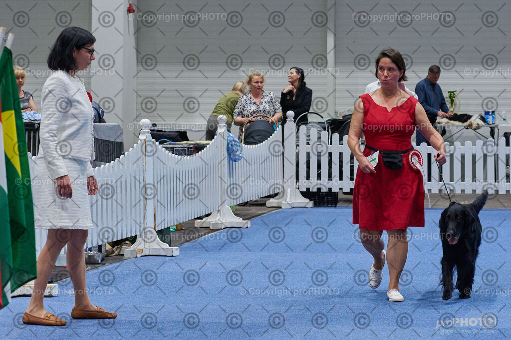 202406_ÖKV-IHA-Tulln24_DSC_5091 | proPHOTO - Realisiert mit Pictrs.com