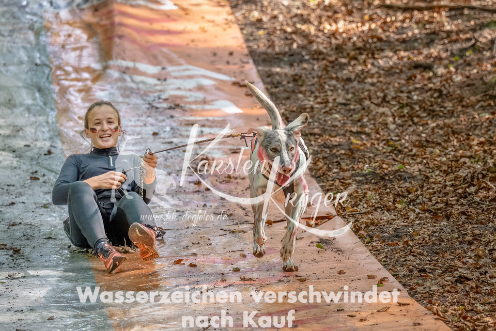 1149_ZZ92700-Bearbeitet | kk-dogfotos