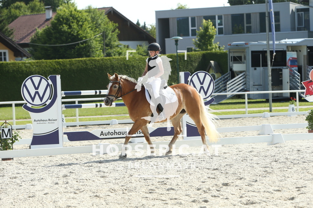 DL2Q0931 | Willkommen bei Brunnmayr - Design & Fotografie – Ihrem Spezialisten für Reitturniere und Pferdeveranstaltungen in Oberösterreich, Salzburg und Bayern! Seit über 17 Jahren sind wir leidenschaftlich dabei.