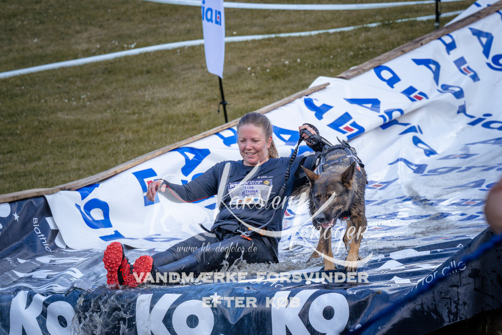 _ZZ921670923 | kk-dogfotos