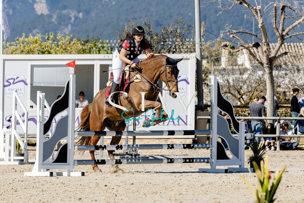 IMG_9249 | s-jay-photography - Realisiert mit Pictrs.com