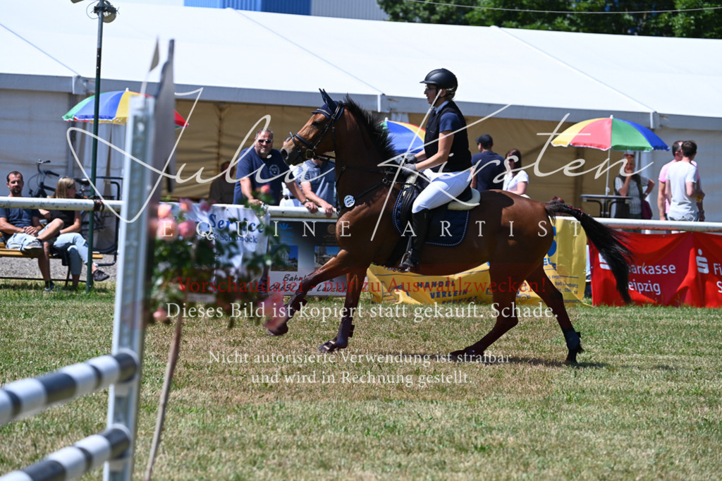 DSC_0635 | Pferde- und Turnierfotografie in Westsachsen. Pferdeportraits, Auftragszeichnungen und intuitive Kunst.
