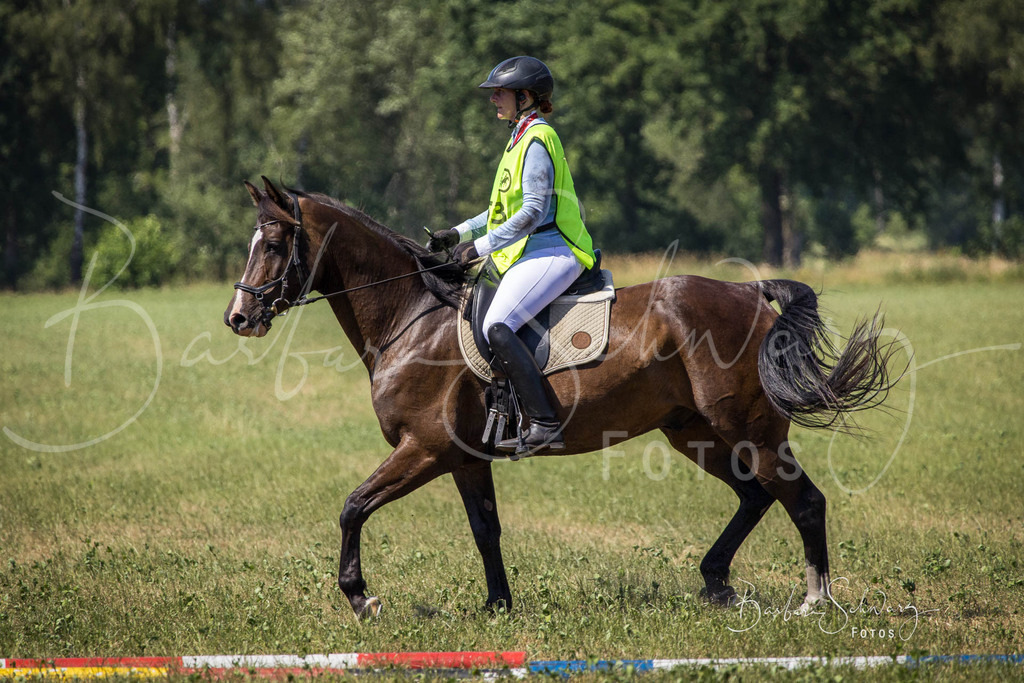 CJP_2026-06-26_99 | Stimmungsvolle Fotografie von Pferden, fotografische Begleitung von Veranstaltungen, Golfturnieren und Distanzritten - Realisiert mit Pictrs.com