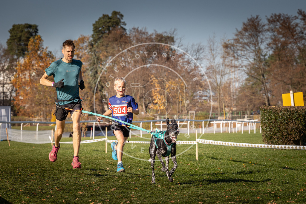 CaniXpix_0L8A6604 | Hundefotografie, Tierfotograf, Pfotenfotografie, Fotoshooting Hund, Hunde Portrait, Hundesport, Hundeportraits, Heideshooting, Hunde, Sportfotograf, Hundefotograf, Turnierhundsport, THS,  - Realisiert mit Pictrs.com