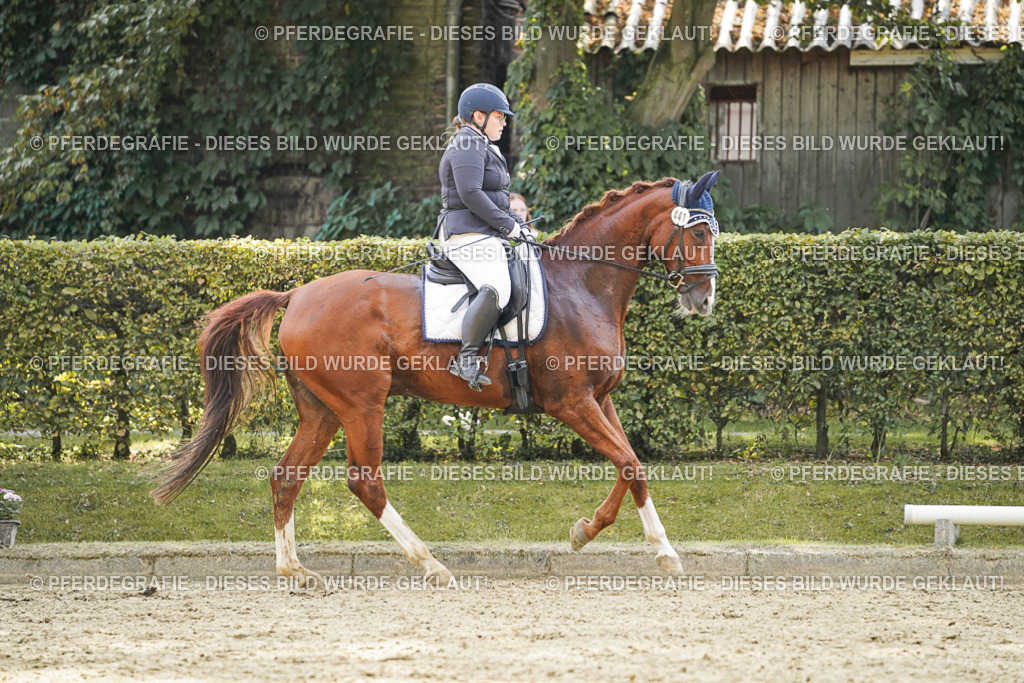 DSC07994 | Pferdegrafie