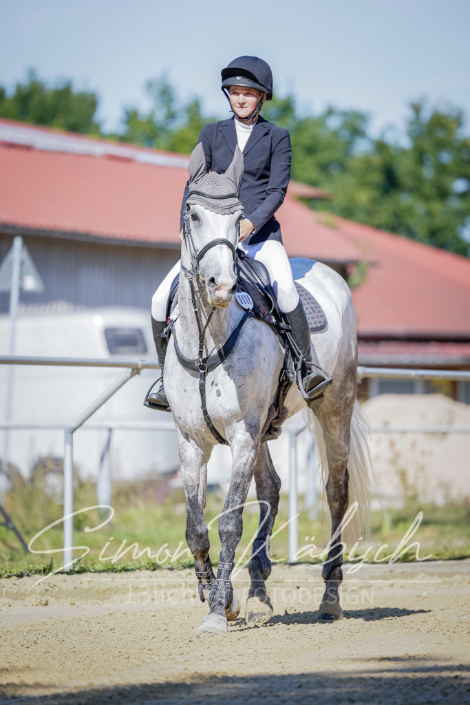 20250906-_3LI3657 | Tierfotografie Pferde, Hunde, Katzen, Haustiere.
Turnierfotografie Reitturniere, Reiten, Springreiten, Dressur in Hanau, dem Main-Kinzig-Kreis und dem Rhein-Main- Gebiet um Frankfurt