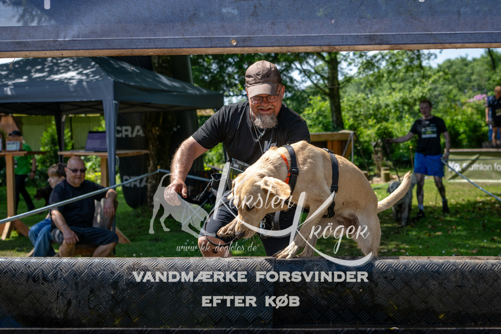 1208_ZZ90437 | kk-dogfotos