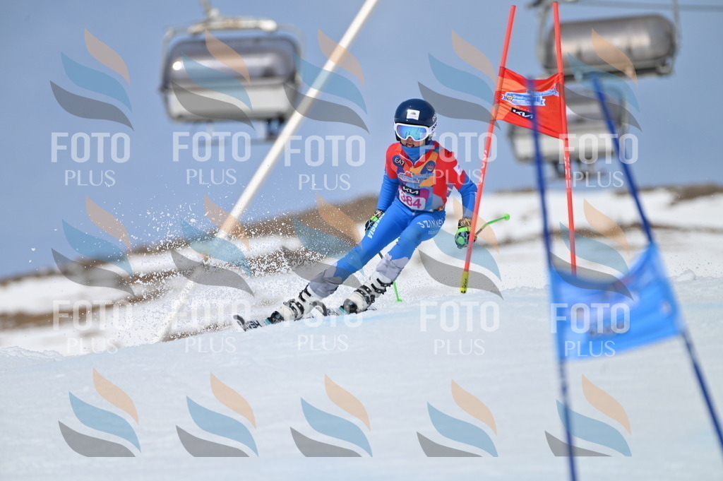 BGV_4239 | holidayphoto