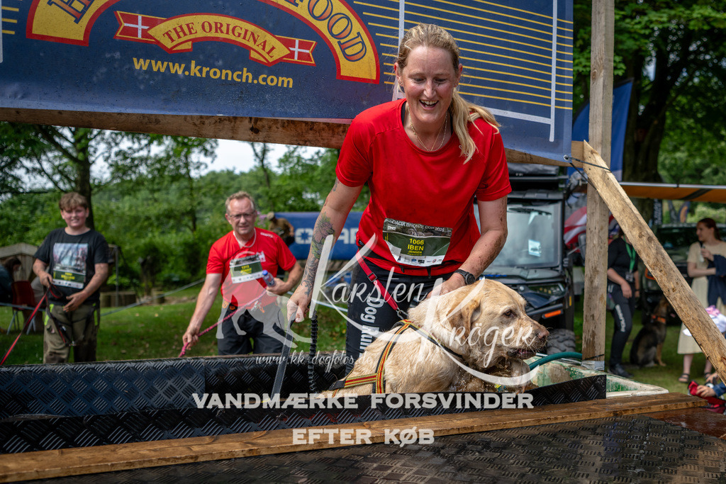 1113_ZZ93101 | kk-dogfotos