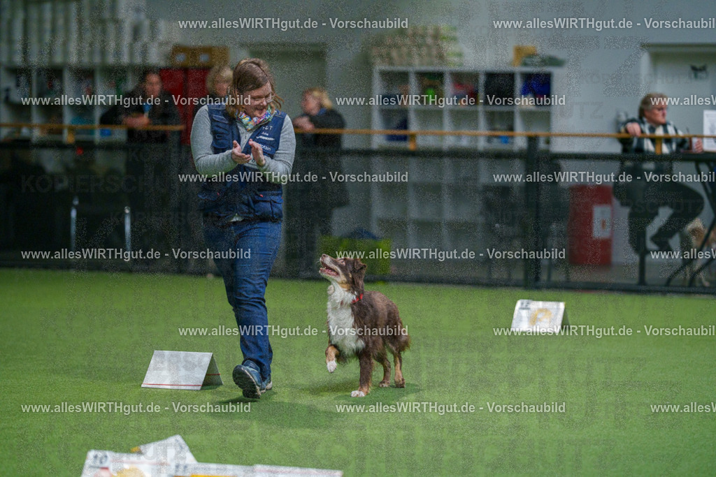 7R504229 | Professionelle Tierfotografie in Mönchengladbach von Daniel Wirth (allesWIRTHgut). Liebevolle & natürliche Bilder von Hunden & Katzen für unvergessliche Erinnerungen.