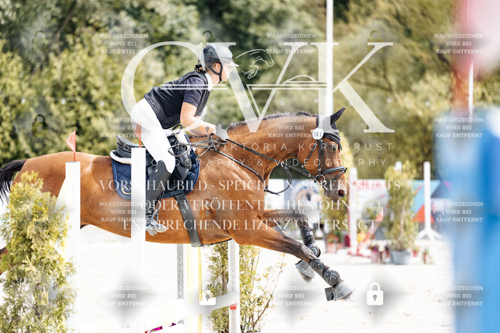 CK906524 | Turnierfotografie Pferdefotografie Trier Rheinland-Pfalz Pferdesport Reitsport Tierfotografie Sportfotografie Pferdevideo Pferdevideografie Equestrianvideography equestrianphotography  - Realisiert mit Pictrs.com