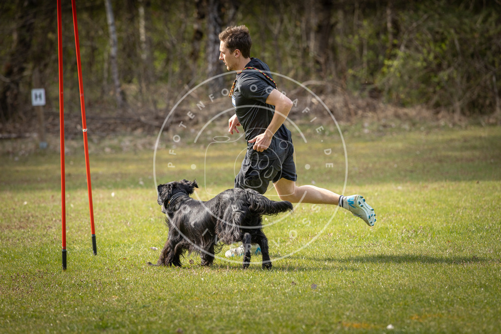 Pfotenfotografie_DV3A9799 | Hundefotografie, Tierfotograf, Pfotenfotografie, Fotoshooting Hund, Hunde Portrait, Hundesport, Hundeportraits, Heideshooting, Hunde, Sportfotograf, Hundefotograf, Turnierhundsport, THS,  - Realisiert mit Pictrs.com
