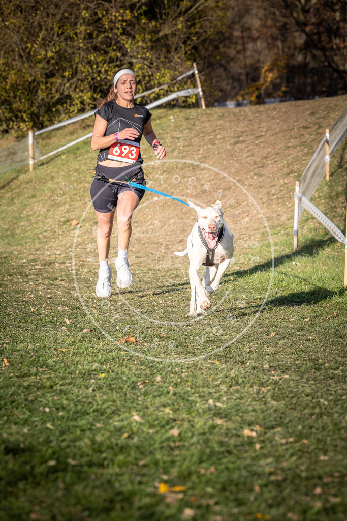 CaniXpix_0L8A9359 | Hundefotografie, Tierfotograf, Pfotenfotografie, Fotoshooting Hund, Hunde Portrait, Hundesport, Hundeportraits, Heideshooting, Hunde, Sportfotograf, Hundefotograf, Turnierhundsport, THS,  - Realisiert mit Pictrs.com