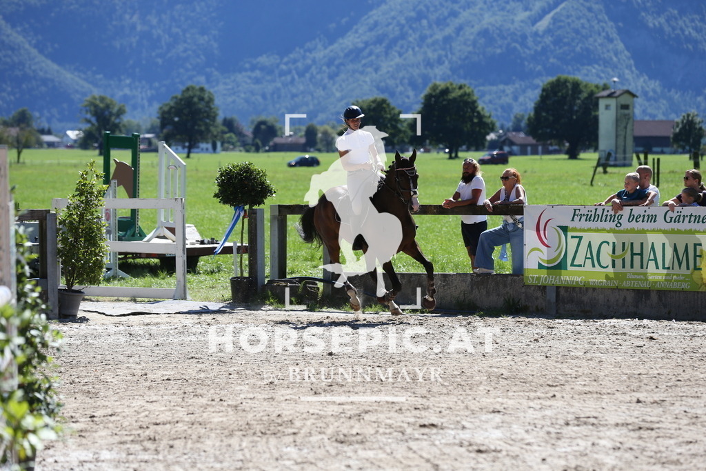 DL2Q0716 | Willkommen bei Brunnmayr - Design & Fotografie – Ihrem Spezialisten für Reitturniere und Pferdeveranstaltungen in Oberösterreich, Salzburg und Bayern! Seit über 17 Jahren sind wir leidenschaftlich dabei.