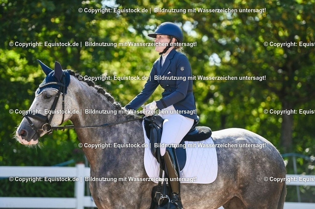 20230715_06_Dressurpferdeprfg. Kl.A_0318 | equistock