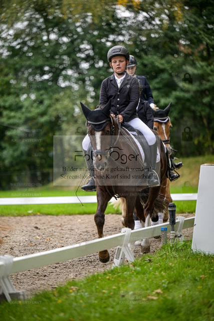 FOTO OGER | Entdecke hochwertige Reitturnierfotos von Foto Oger. Professionell, emotional und authentisch – jetzt Lieblingsmomente im Shop bestellen. - Realisiert mit Pictrs.com
