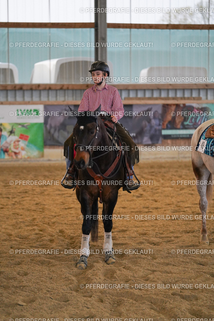 DSC09202 | Pferdegrafie