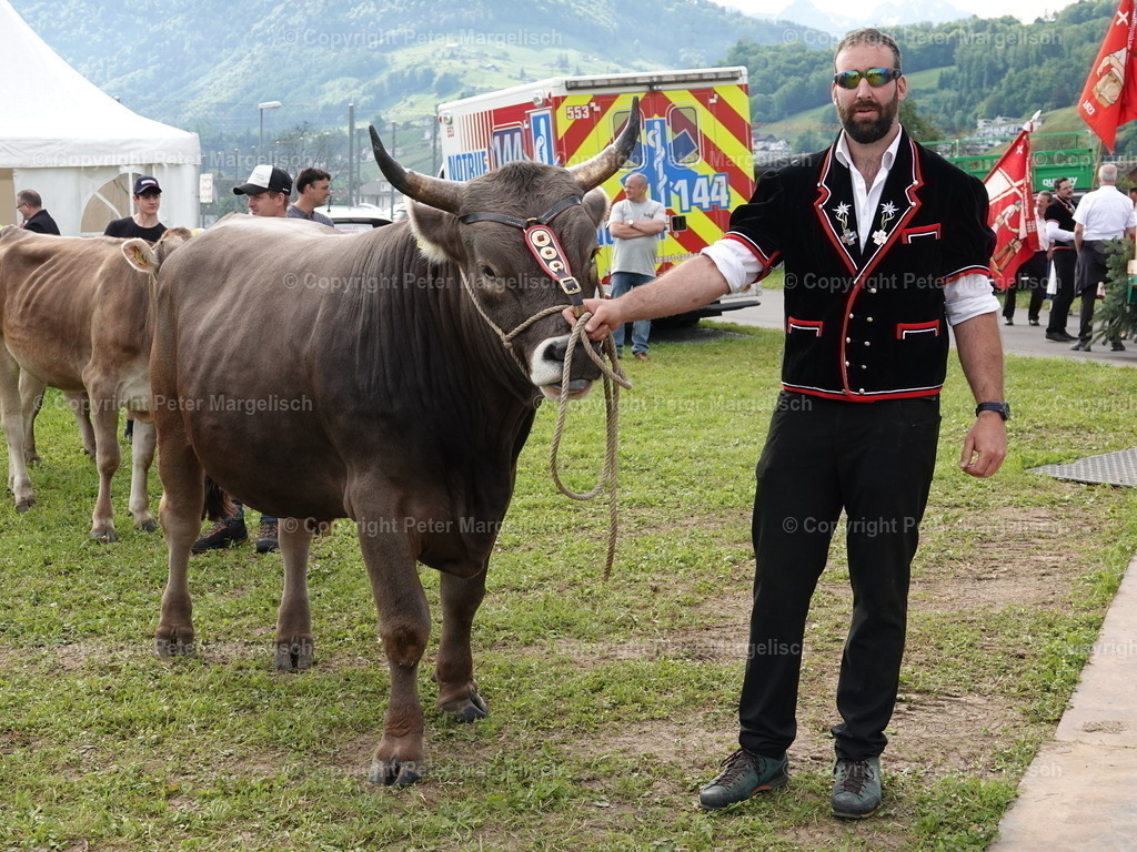 DSC06712 | Schwingen - Realisiert mit Pictrs.com