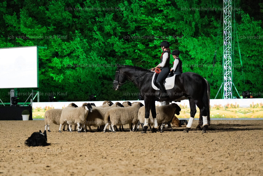 Gala-519 | working equitationturnier fotograf videograf stoibphotography marixx film working equitation deutschland reitsport turnierfotografie eventfotografie equestrian events