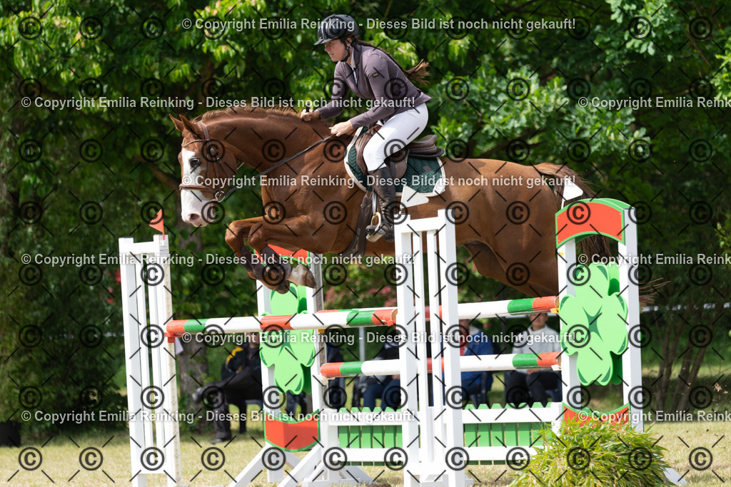 CL5A9401 | Emilia Reinking Fotografie - Realisiert mit Pictrs.com