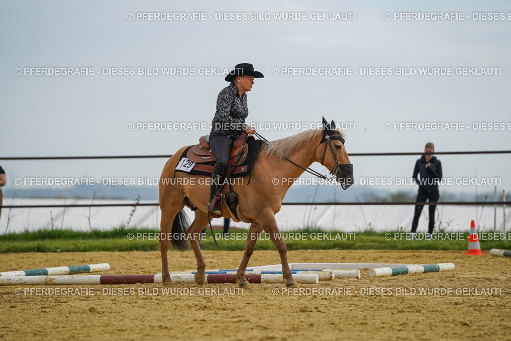 DSC02311 | Pferdegrafie