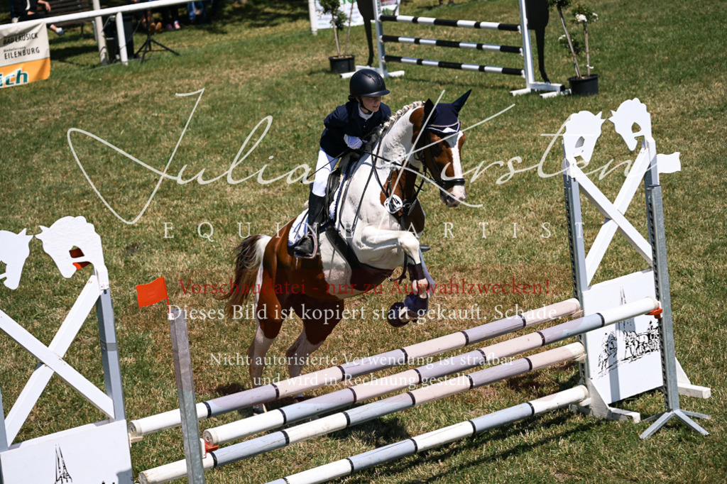 DSC_9951 | Pferde- und Turnierfotografie in Westsachsen. Pferdeportraits, Auftragszeichnungen und intuitive Kunst.
